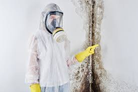 Best Forensic Mold Investigation  in Gunter, TX